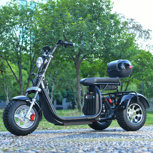 Fuoristrada 3 ruote Fat Tire Scooter Trike 2000W Motore 45KM/H CA USA AZIONE