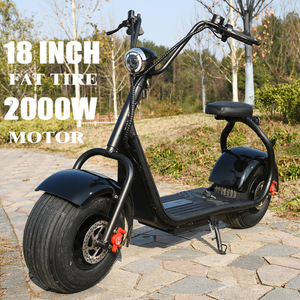 Scooter X1 Fat Tire con luci anteriori e posteriori e batteria rimovibile