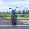 Scooter X1 Fat Tire con luci anteriori e posteriori e batteria rimovibile