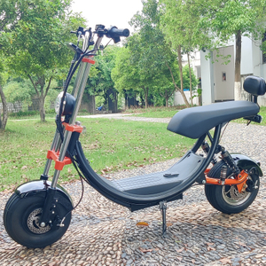 Scooter elettrico Fat Tire di serie USA 1500w 48v 20ah con sedile grande senza logo