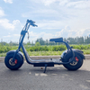 Scooter X1 Fat Tire con luci anteriori e posteriori e batteria rimovibile