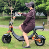 Scooter elettrico Fat Tire di serie USA 1500w 48v 20ah con sedile grande senza logo