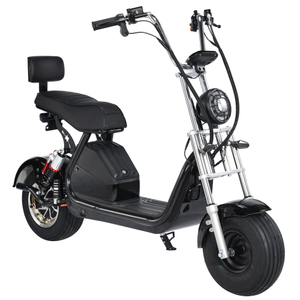 Scooter elettrico Fat Tire di serie USA 1500w 48v 20ah con sedile grande senza logo