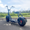 Scooter X1 Fat Tire con luci anteriori e posteriori e batteria rimovibile